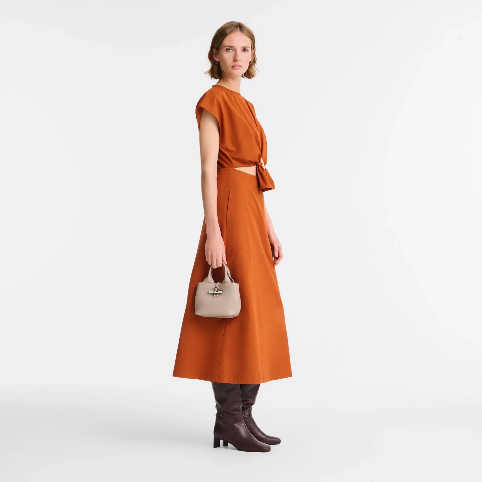 Le Roseau Handbag