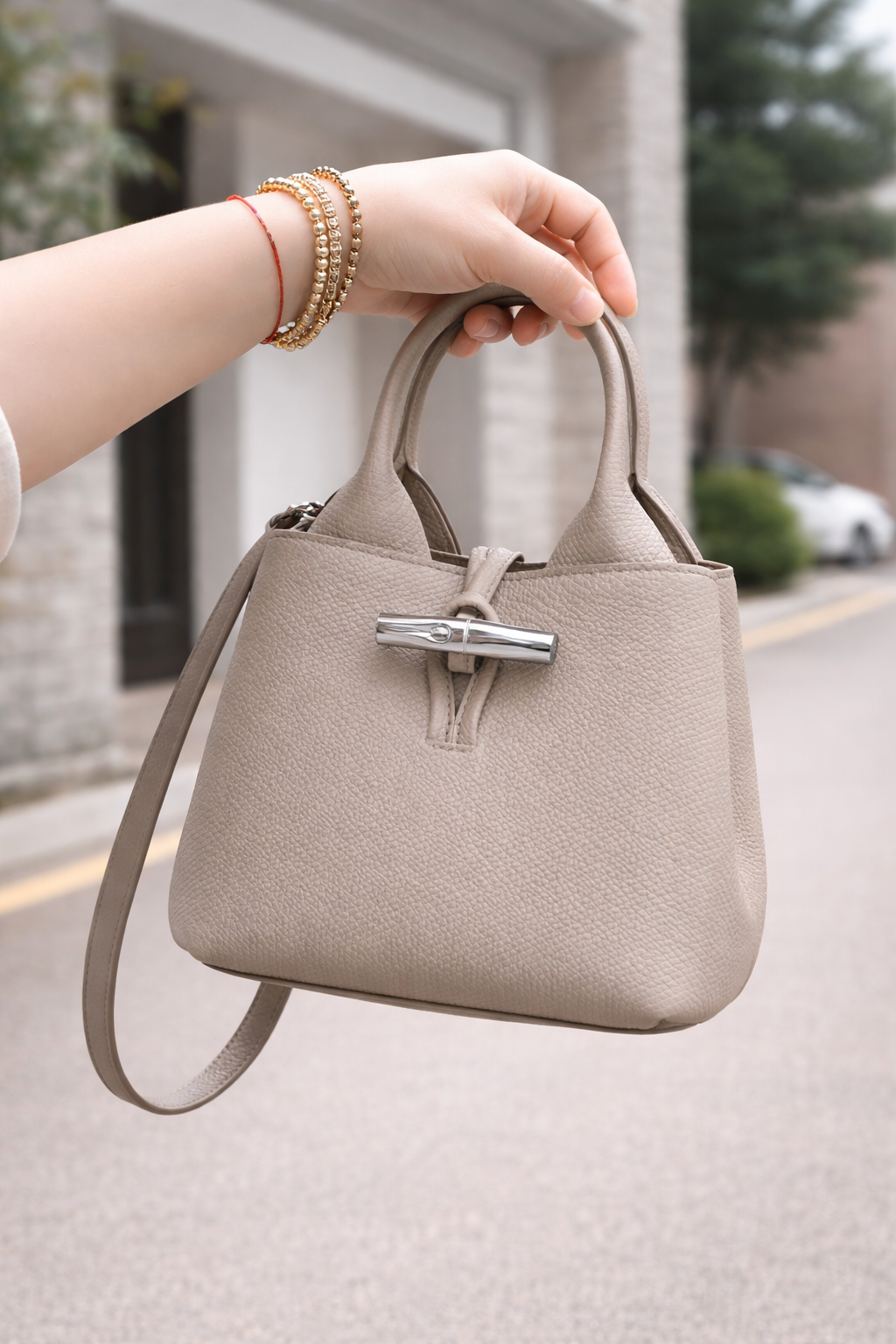 Le Roseau Handbag